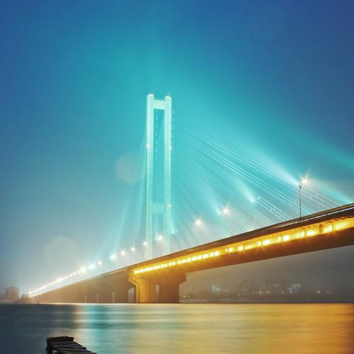 Photo #2464734