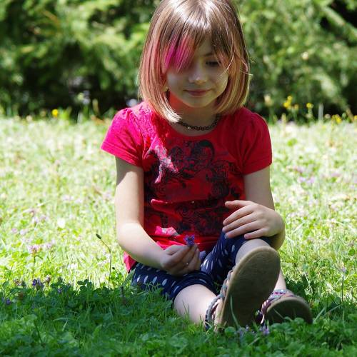 Photo #2465544