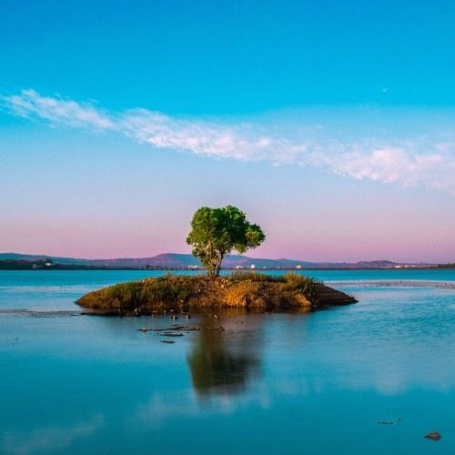 Lone tree on a lone island.
