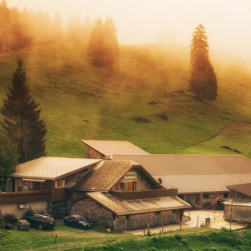 Misty morning