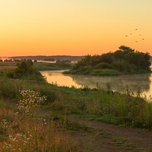 Фотография #2466814