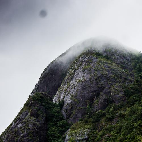 Photo #2466985