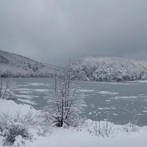 Photo #2468223