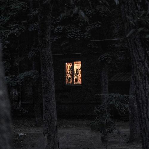 Come to my window.