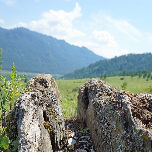 Photo #2468347