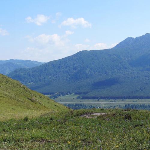 Photo #2468348