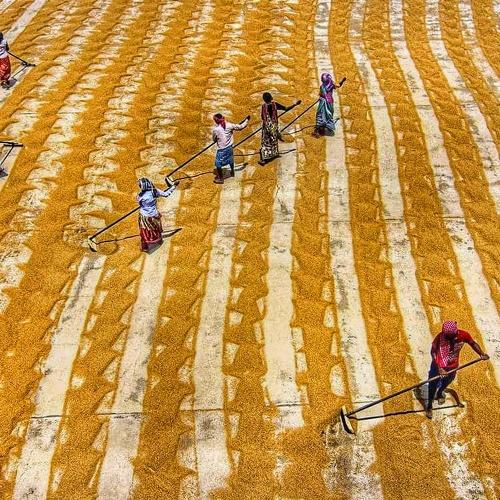 Life in pattern