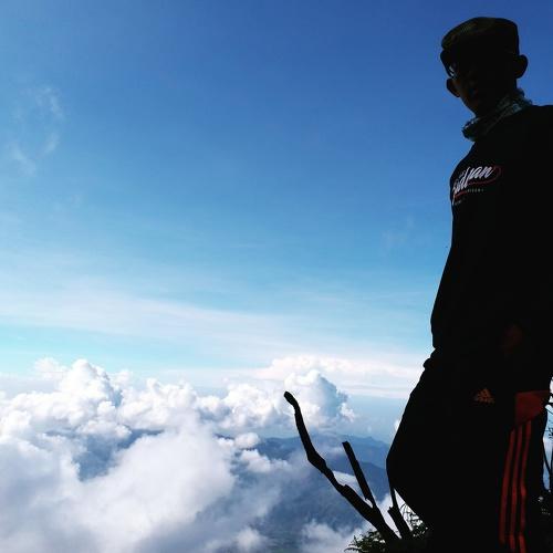 Stand on cloud