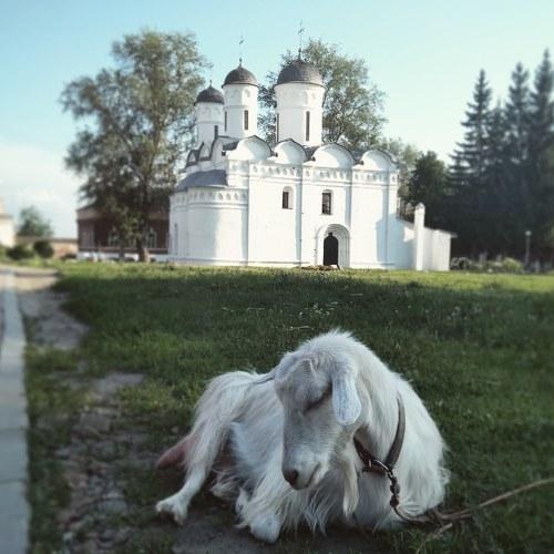 Благодать