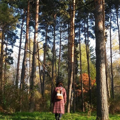 Photo #2469173