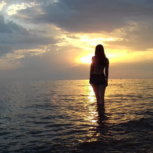 Photo #2469369