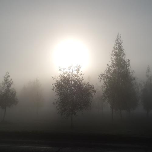 Silent hill...