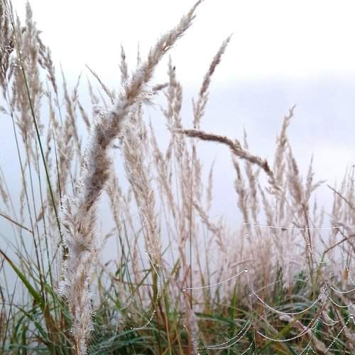 Photo #2470517