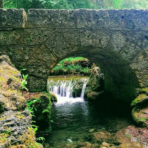 Photo #2470531