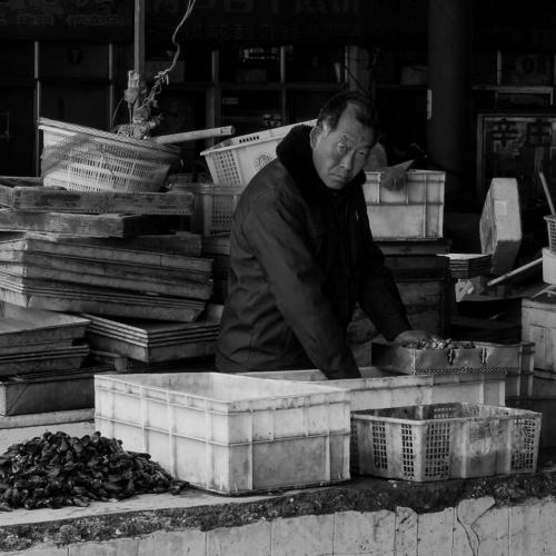 Fish Monger