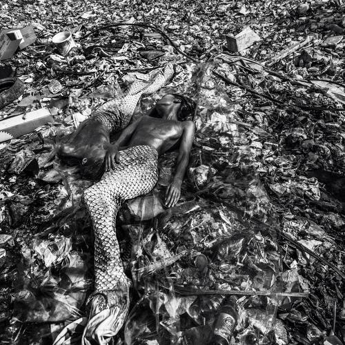 Plastic kills.