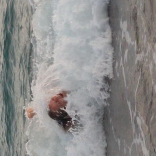 Photo #2470987