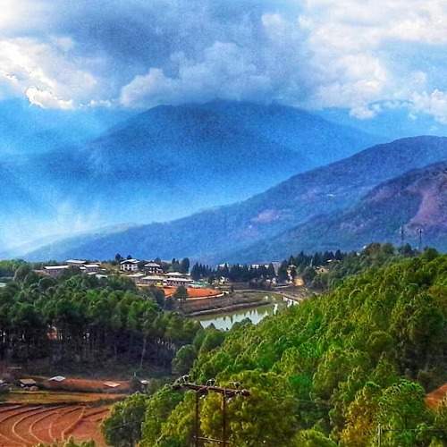 Valley of Green