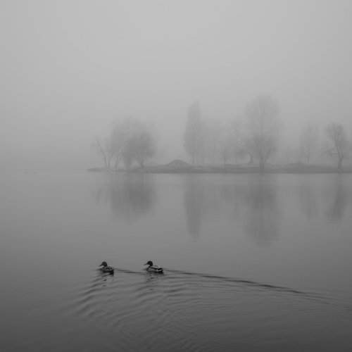 fog