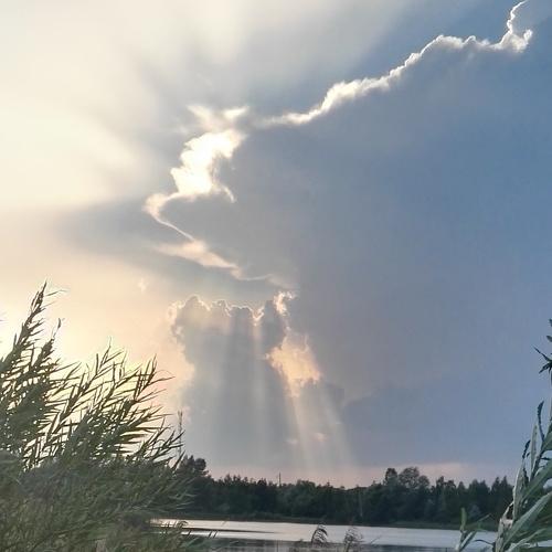 Под тихий гром