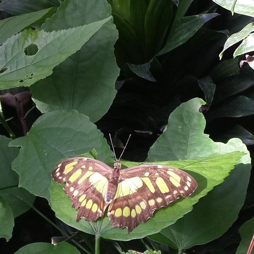 Photo #2472251
