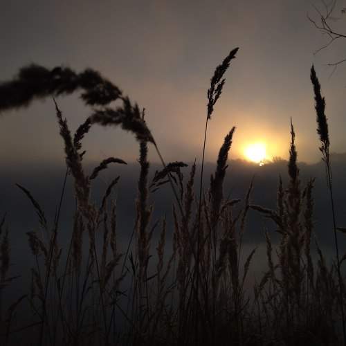 Photo #2472596