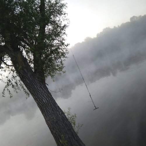 Photo #2472614