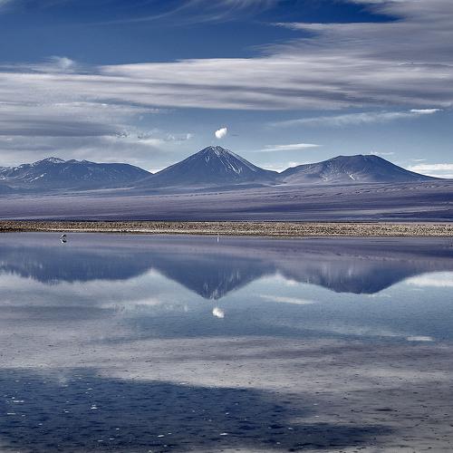 Reflejos