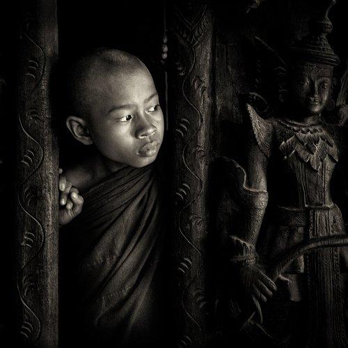 Young Monk of the Wooden Monastery