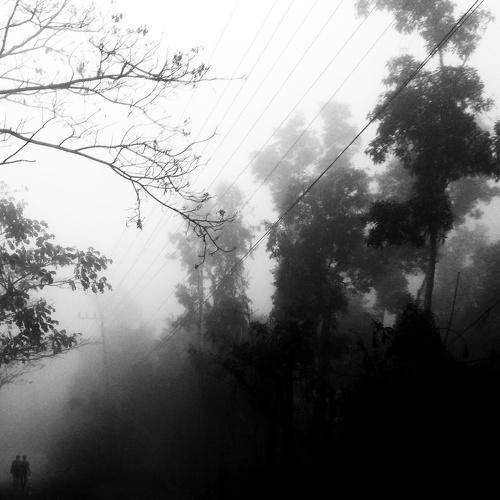 Mystic roads