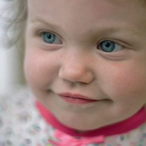 Photo #2473618