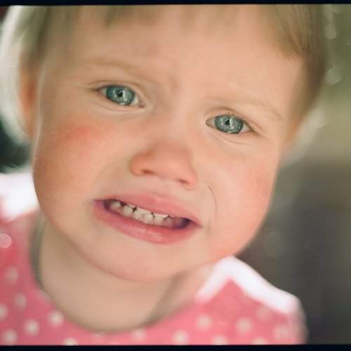 Photo #2473638