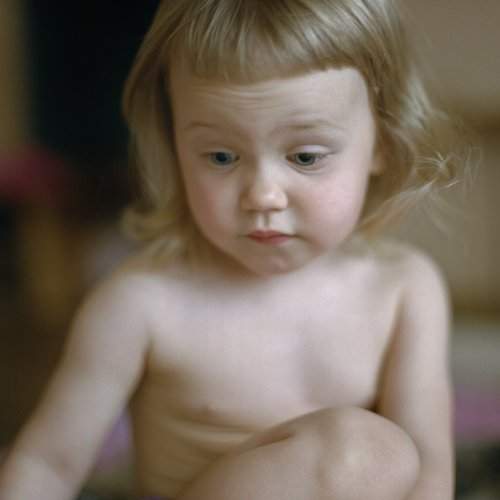 Photo #2473661