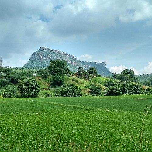Landscape