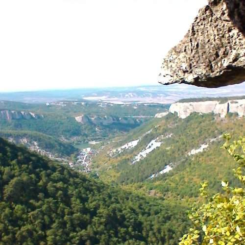 Photo #2473951