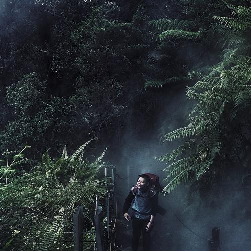 Get through the deadly fog