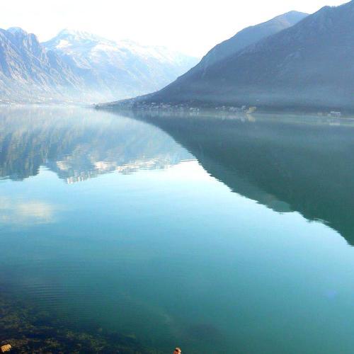 Photo #2474968