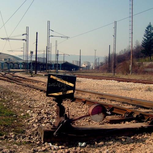 Photo #2475048