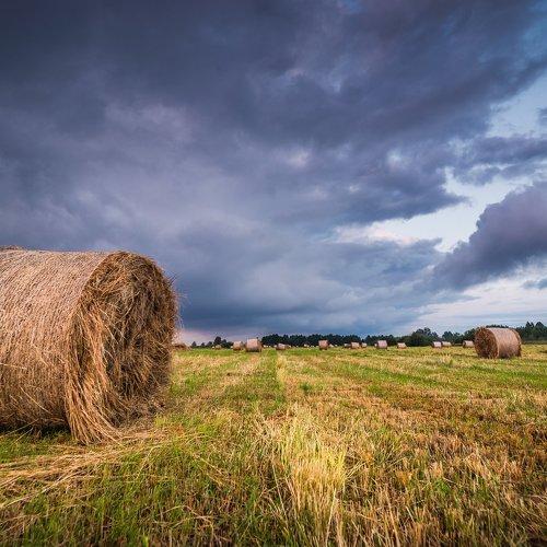 Haystacks