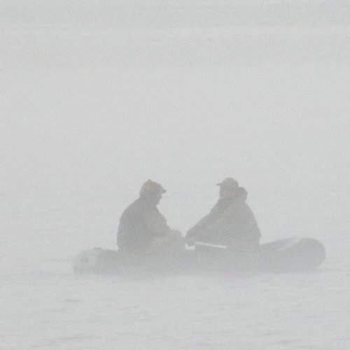 Photo #2475286
