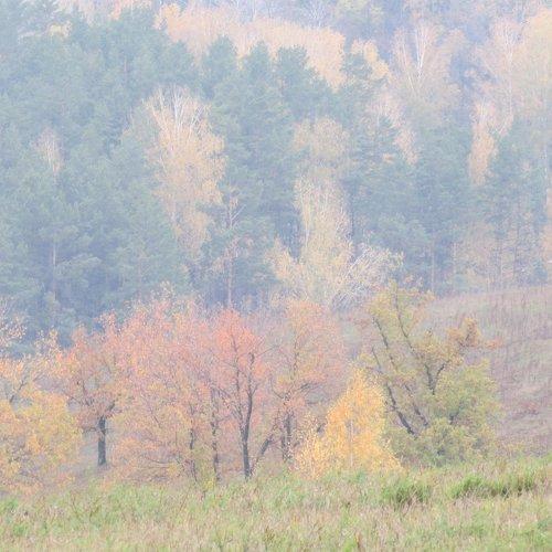 туманные россыпи