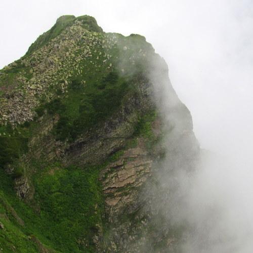 Fog