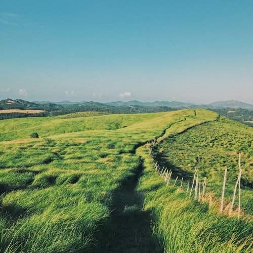 The road on the hill