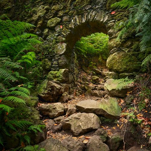 Secret Garden