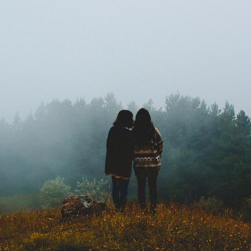 Photo #2475982