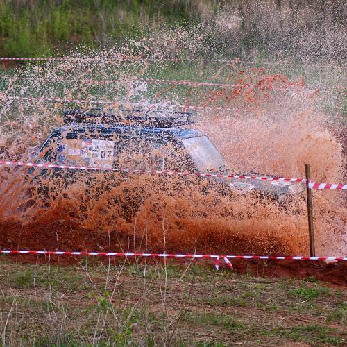 Photo #2477897