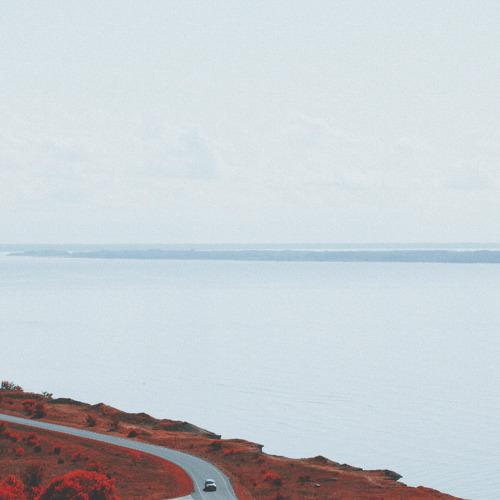 Photo #2477983