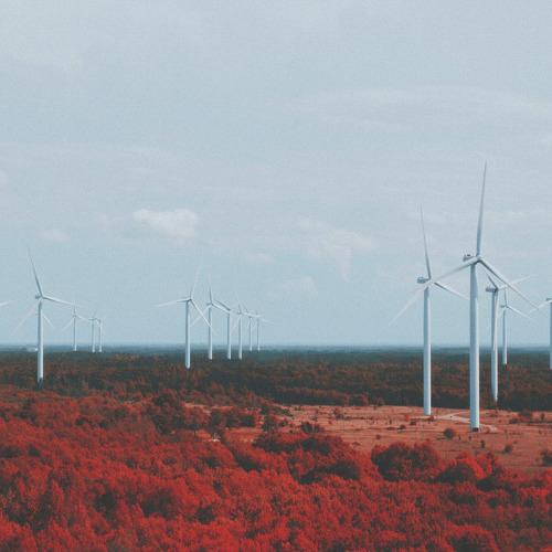 Photo #2477988