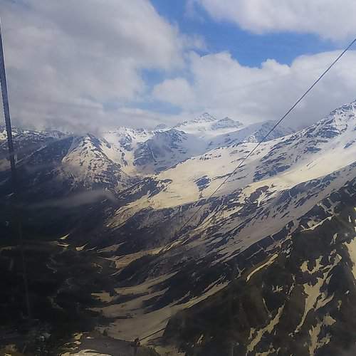 Photo #2479318