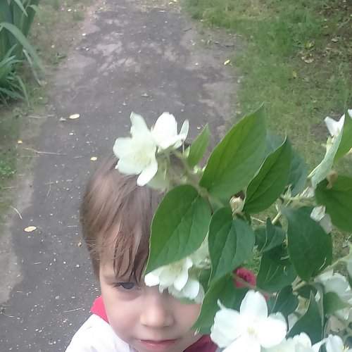Photo #2479328
